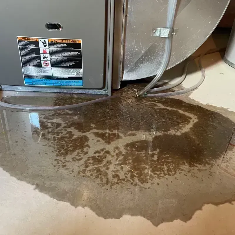 Appliance Leak Cleanup in Waynesboro, VA